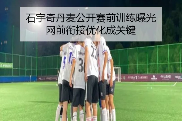 石宇奇丹麦公开赛前训练曝光 网前衔接优化成关键